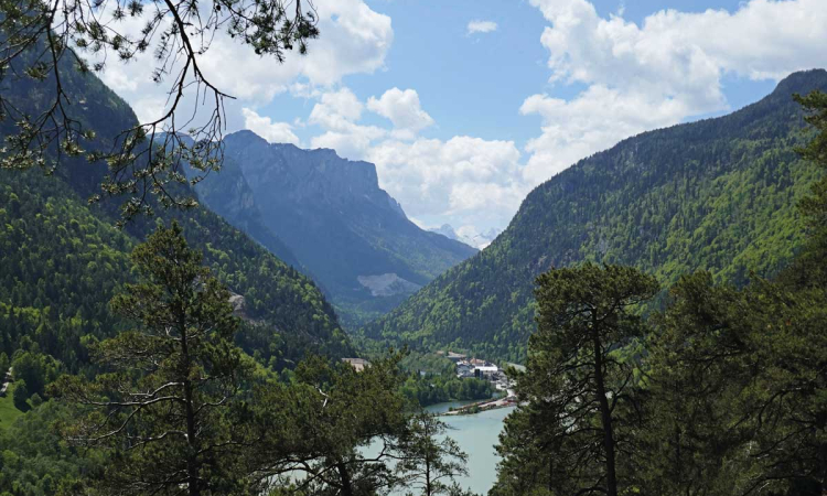 Von Bad Reichenhall auf die Bürgermeisterhöhe